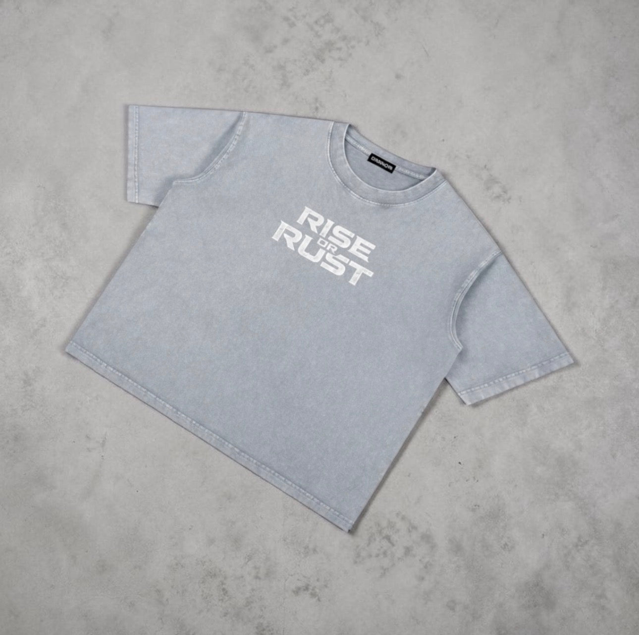 Steel Series: Rise or Rust Boxy T-Shirt